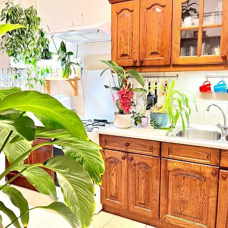 Margaret Bridge Cosy Flat Apartment Budapest Luaran gambar